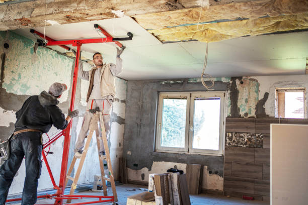 Best Types of Insulation in Alanuk, AK